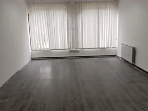 Izdavanje, poslovni prostor, 100m², Misa, Pančevo - image 3