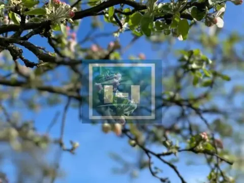 Prodaja, kuća, 188m², Lipova, Vrnjačka Banja - image 4