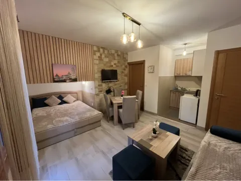 Izdavanje, jednosoban stan, 24m², Centar, Zlatibor - image 2