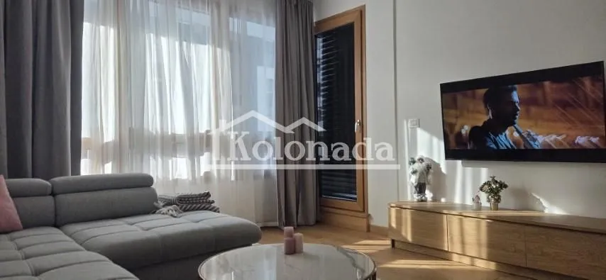 Rent, two bedroom apartment, 55m², Novi Beograd Blok 65, Novi Beograd Sve Podlokacije