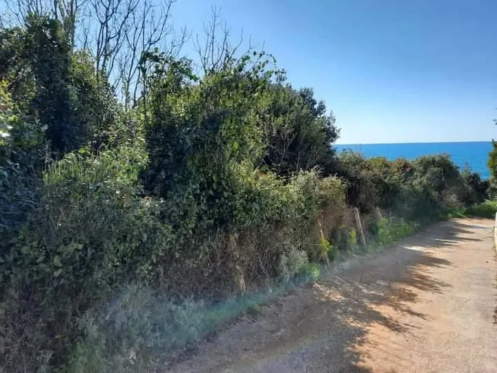 Prodaja, plac, 3781m², Utjeha, Bar