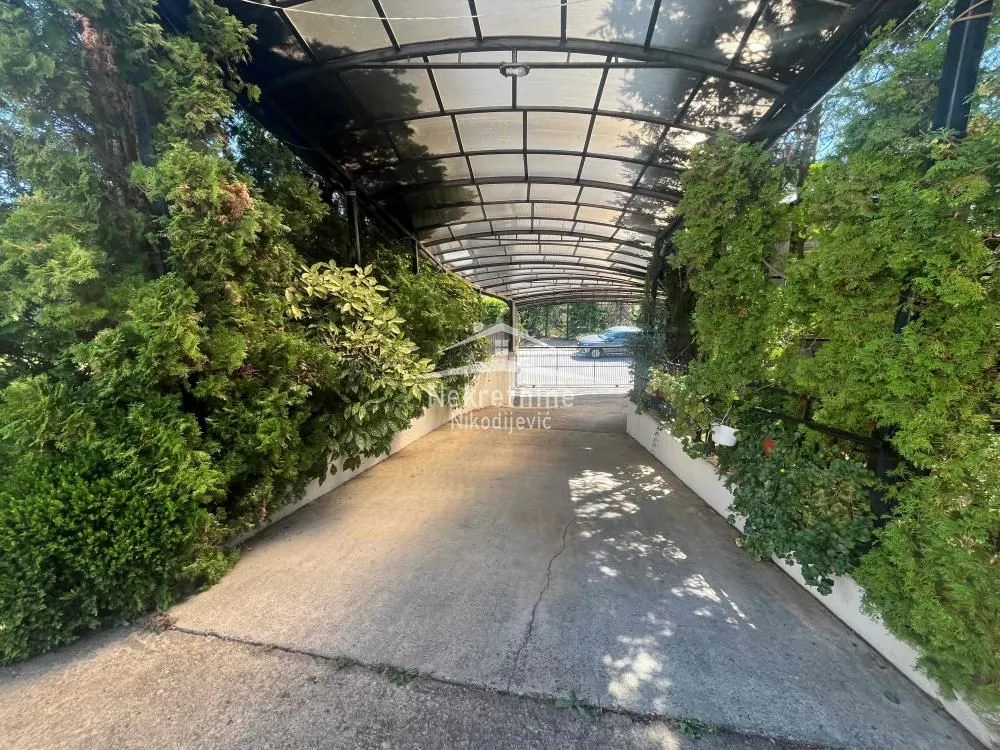 Covered driveway with greenery and parking space.