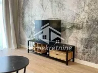 Izdavanje, dvosoban stan, 53m², Savski Venac, Beograd - image 8