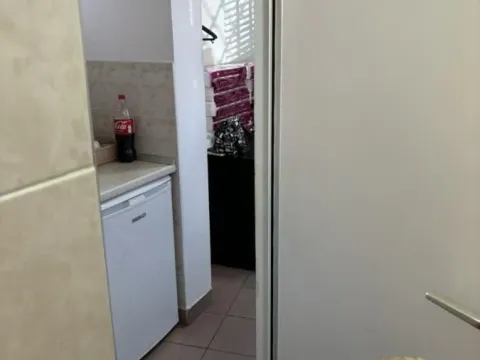 Prodaja, poslovni prostor, 127m², Botanička Bašta, Palilula Sve Podlokacije - image 5