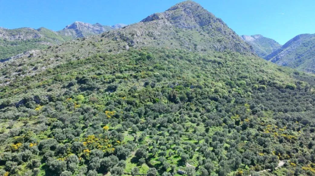Prodaja, plac, 10500m², Stari Bar, Bar