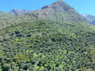 Prodaja, plac, 10500m², Stari Bar, Bar - image 5