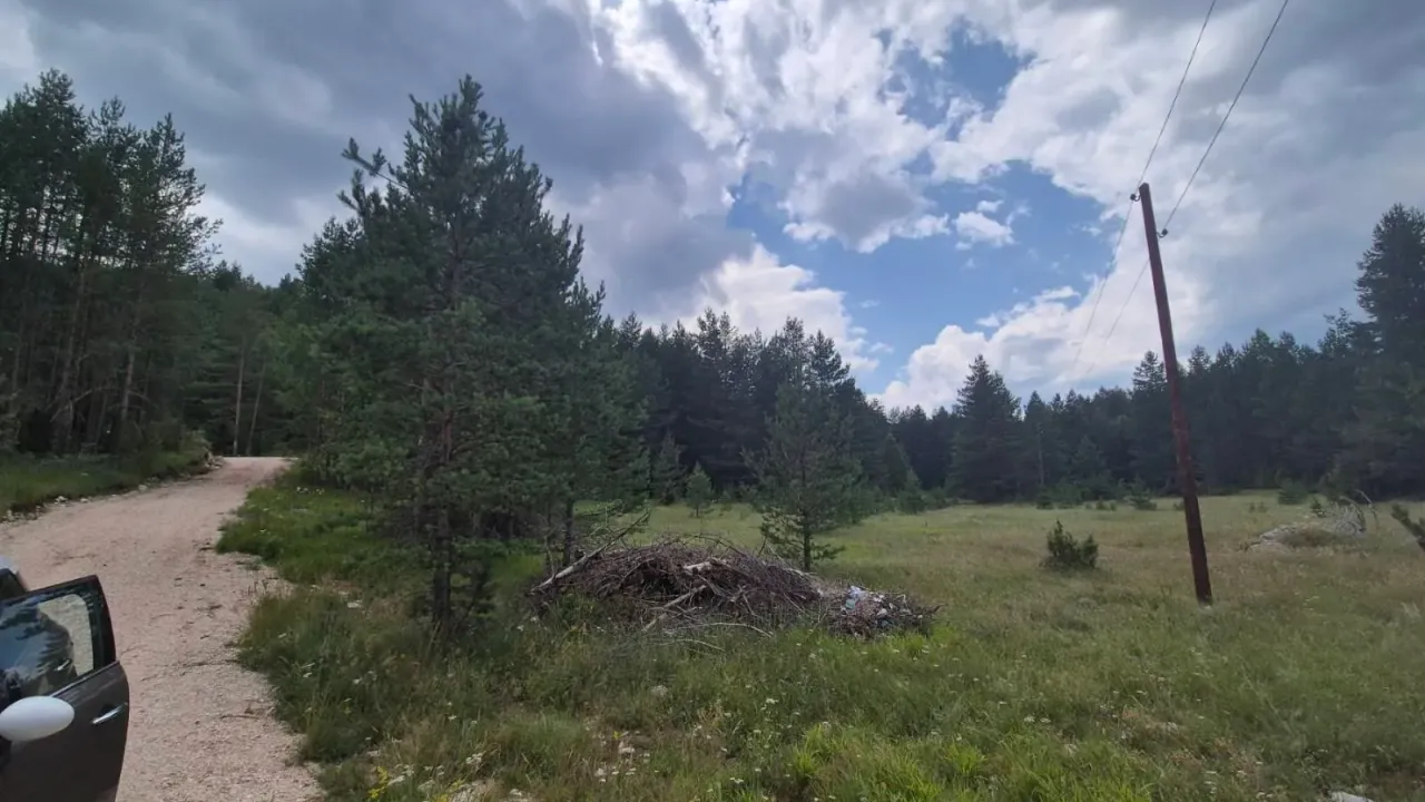 Prodaja, plac, 1600m², Žabljak, Crna Gora