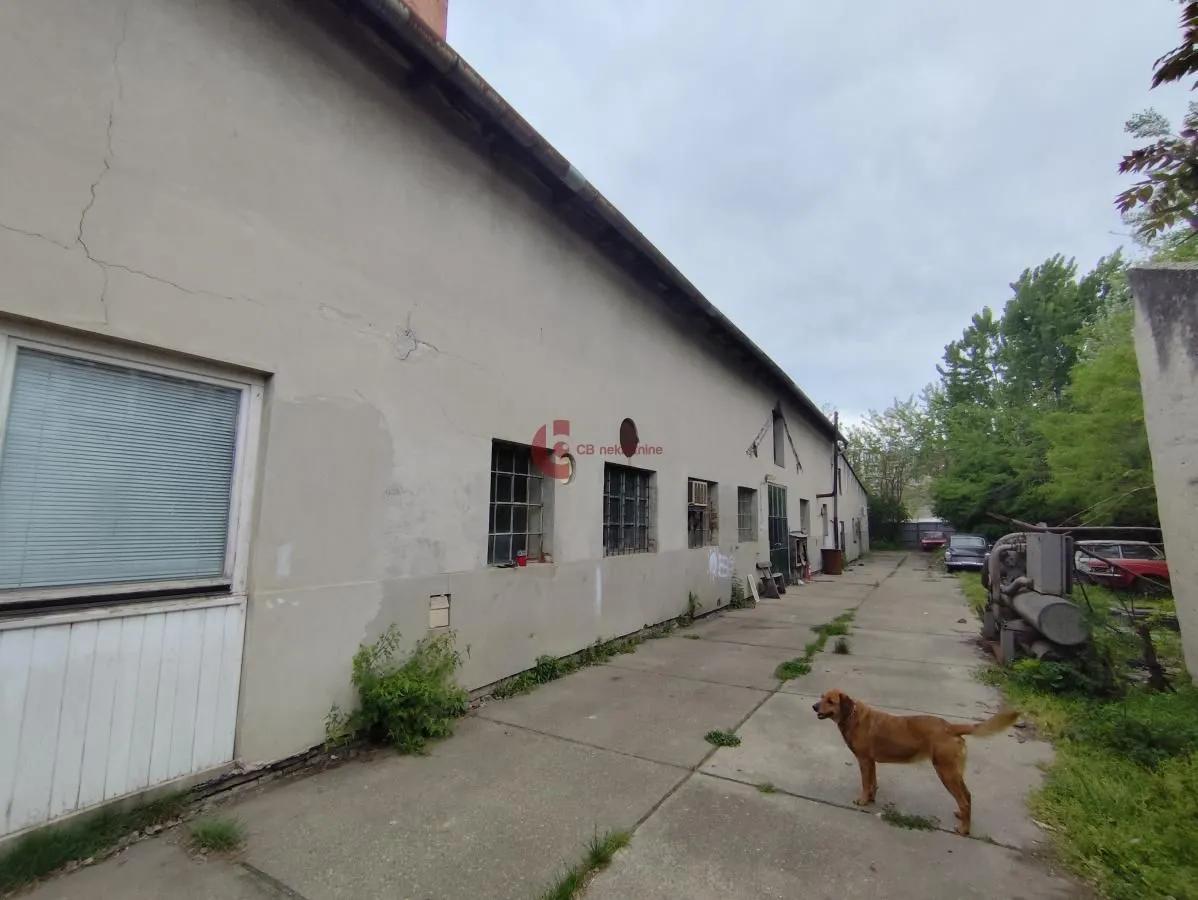 Rent, office space, 300m², Centar, Subotica