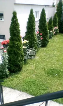 Uređeno dvorište sa travnjakom i četinarima. - image 2