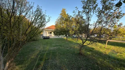 Zeleno dvorište sa stablima i pogledom na kuću. - image 4