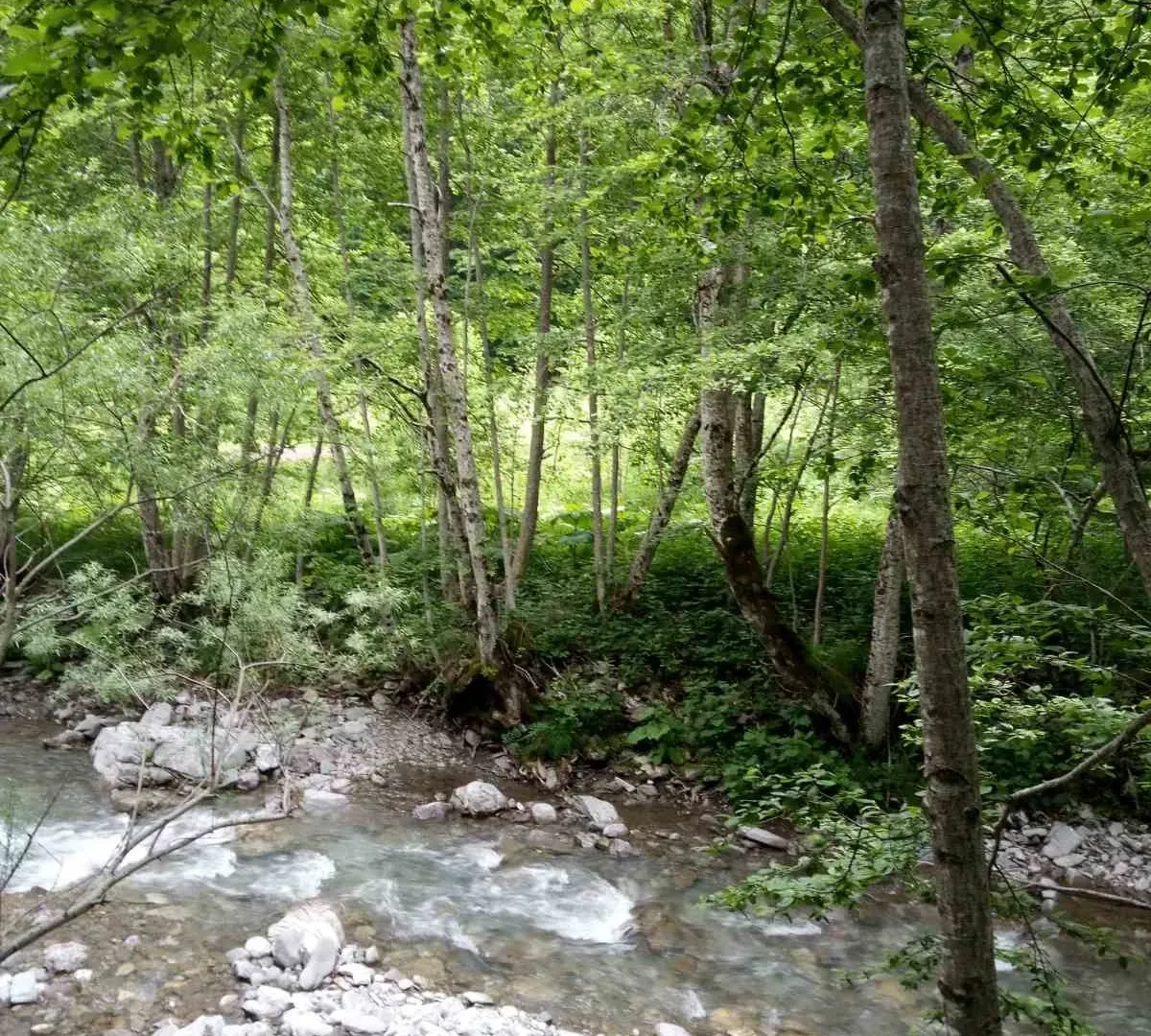 Prodaja, plac, 150000m², Podgorica, Crna Gora