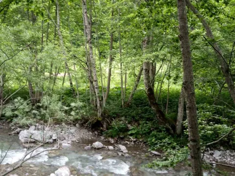 Prodaja, plac, 150000m², Podgorica, Crna Gora - image 5