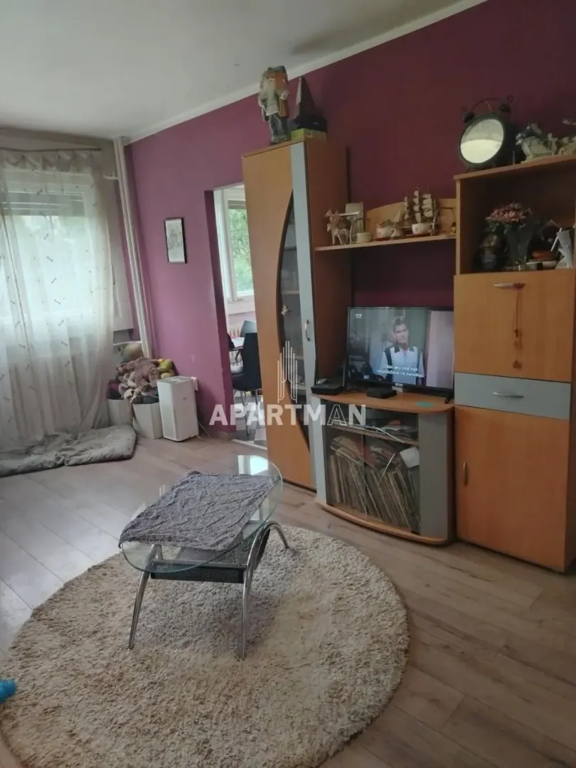 Dnevna soba sa nameštajem, televizorom i tepihom.