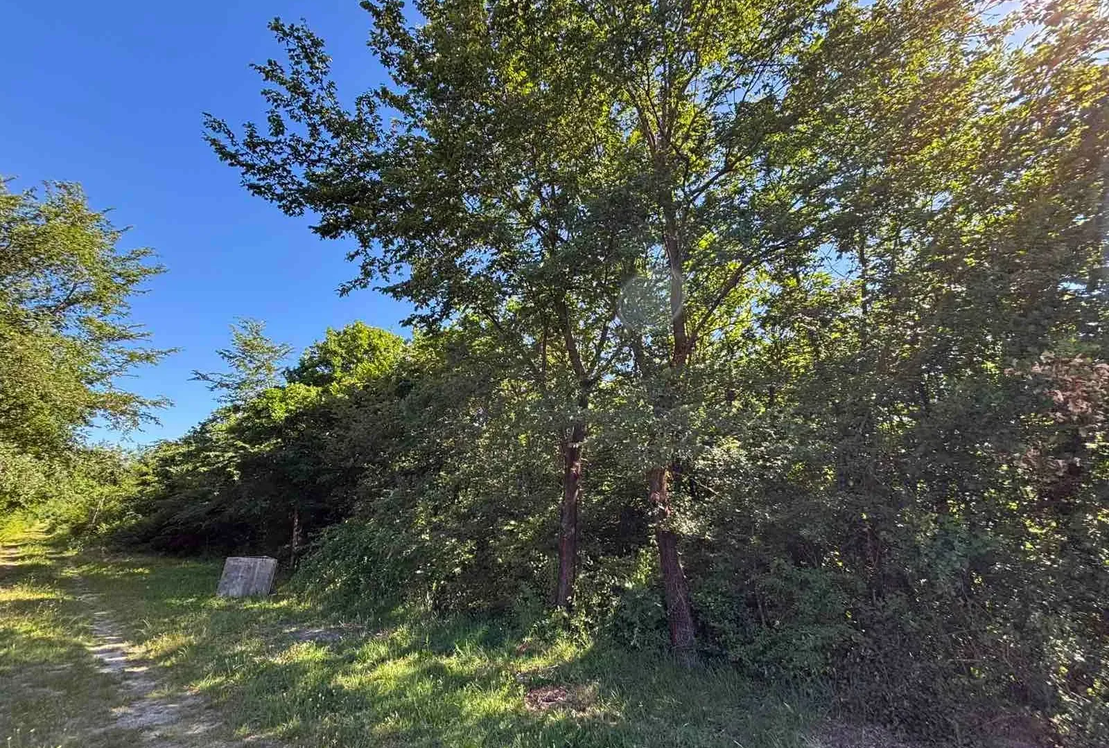 Prodaja, plac, 2386m², Kosić, Danilovgrad