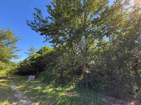 Prodaja, plac, 2386m², Kosić, Danilovgrad - image 5