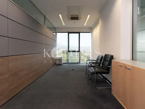 Izdavanje, poslovni prostor, 318m², Preko Morače, Podgorica - image 13