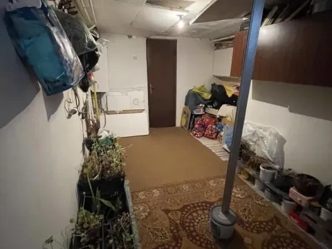 Prodaja, kuća, 155m², Sremska Kamenica, Petrovaradin - image 20