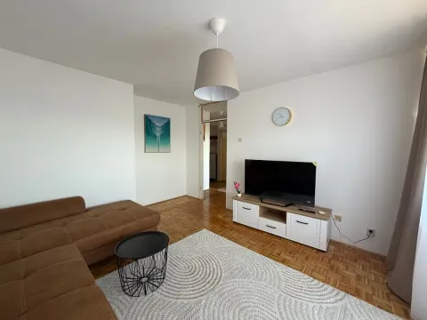 Izdavanje, dvosoban stan, 60m², Palilula Sve Podlokacije, Beograd - image 2