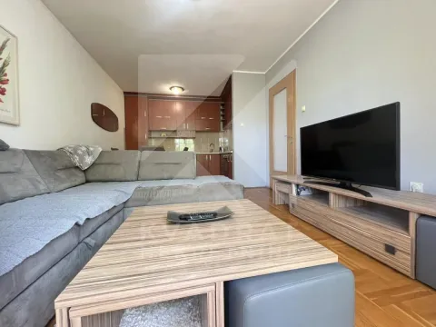 Rent, one bedroom apartment, 43m², Krivi Most, Podgorica - image 2