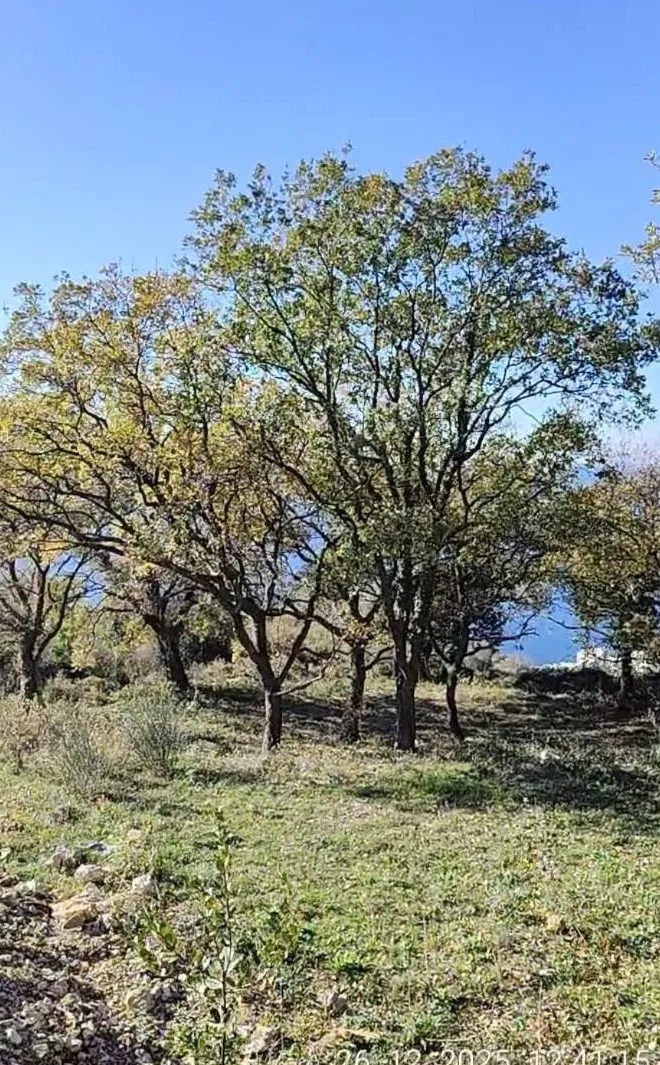 Prodaja, plac, 1227m², Dobre Vode, Bar