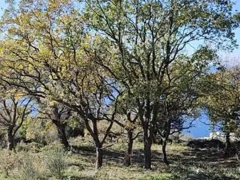 Prodaja, plac, 1227m², Dobre Vode, Bar - image 7