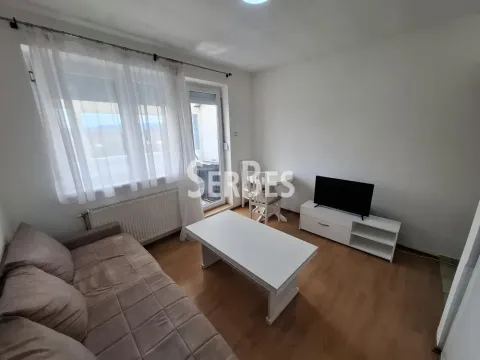 Izdavanje, jednosoban stan, 27m², Detelinara, Novi Sad Sve Podlokacije - image 5