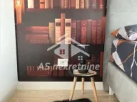 Izdavanje, dvosoban stan, 60m², Savski Venac, Beograd - image 14