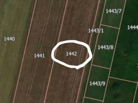 Sale, land lot, 8316m², Bečmen, Surčin - image 2