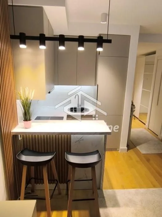 Rent, one bedroom apartment, 27m², Lion, Zvezdara Sve Podlokacije