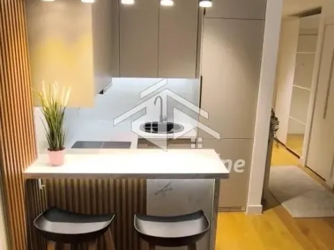 Izdavanje, jednosoban stan, 27m², Lion, Zvezdara Sve Podlokacije - image 9