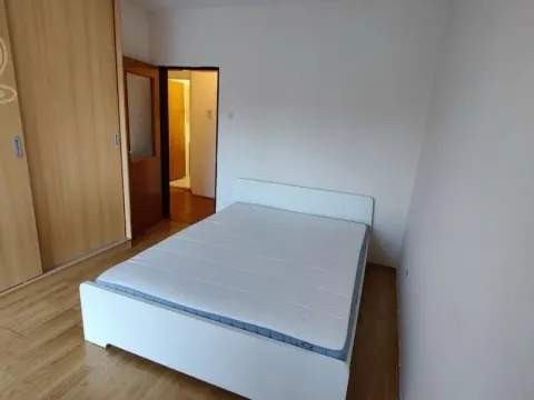 Izdavanje, dvosoban stan, 50m², Centar, Novi Sad - image 3