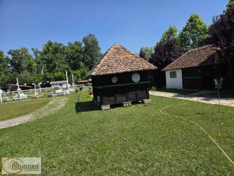 Prodaja, ugostiteljski objekat, 750m², Šabac, Srbija - image 6