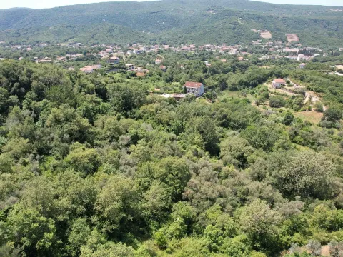 Prodaja, plac, 3000m², Radanovići, Kotor - image 3