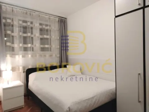 Izdavanje, jednosoban stan, 45m², Savski Venac, Beograd - image 5