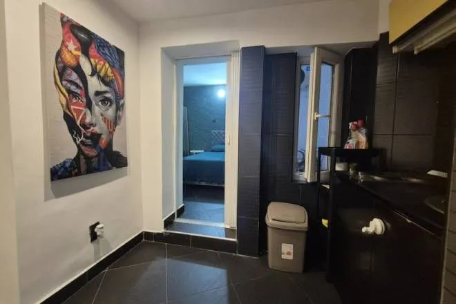 Sale, one bedroom apartment, 30m², Skadarlija, Beograd