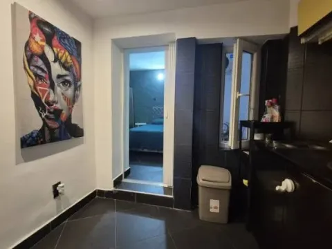 Sale, one bedroom apartment, 30m², Skadarlija, Beograd - image 3
