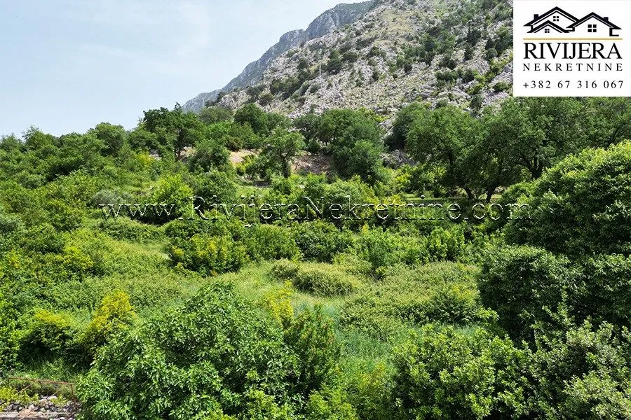Prodaja, plac, 3226m², Dobrota, Kotor