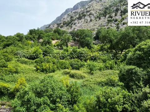 Prodaja, plac, 3226m², Dobrota, Kotor - image 10