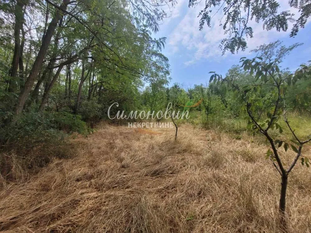 Prodaja, plac, 9700m², Begaljica, Grocka