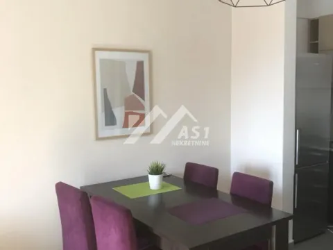 Izdavanje, dvosoban stan, 60m², Bulevar Oslobodjenja, Novi Sad Sve Podlokacije - image 3