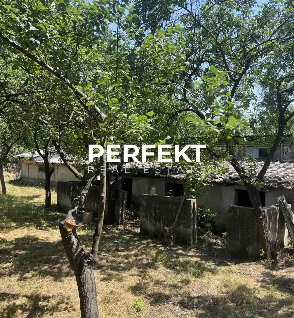 Prodaja, kuća, 43m², Alibunar, Srbija