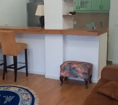 Rent, two bedroom apartment, 47m², Zemun Sve Podlokacije, Beograd - image 3