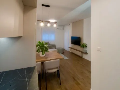 Izdavanje, jednosoban stan, 46m², Stari Aerodrom, Podgorica - image 5