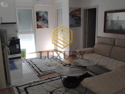 Rent, one bedroom apartment, 47m², Zabjelo, Podgorica - image 1