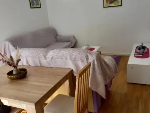 Izdavanje, jednosoban stan, 45m², Novo naselje, Novi Sad - image 3