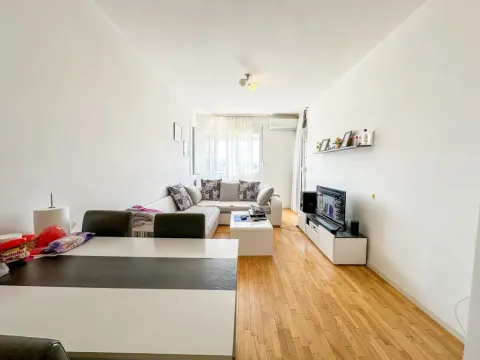 Izdavanje, jednosoban stan, 48m², Stari Aerodrom, Podgorica - image 2