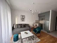 Izdavanje, garsonjera, 32m², Ljubović, Podgorica - image 1