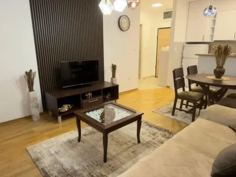 Izdavanje, jednosoban stan, 45m², Ljubović, Podgorica - image 3