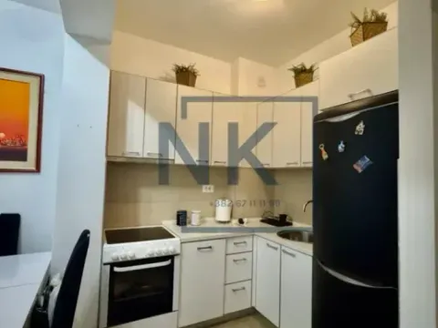 Izdavanje, jednosoban stan, 48m², Vezirov Most, Podgorica - image 6