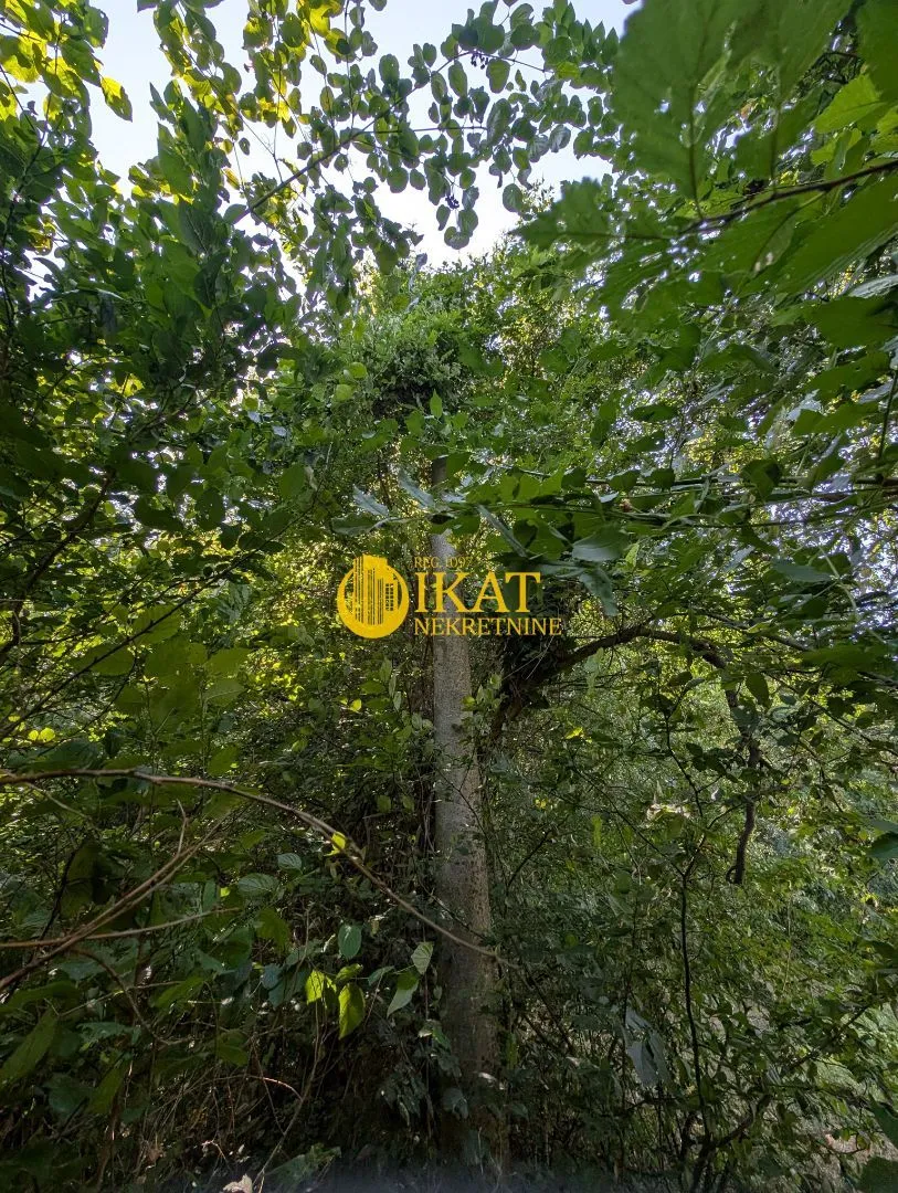 Sale, land lot, 1200m², Mislodjin, Obrenovac